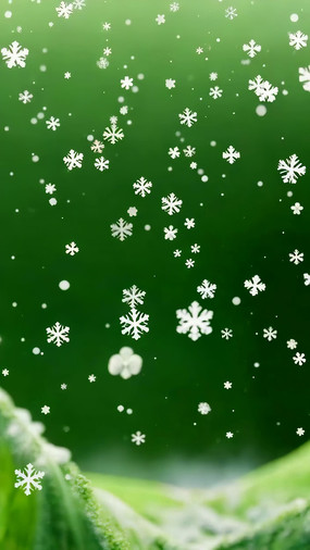 ��ɫ����Ʈ��ѩ������