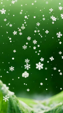 ��ɫ����Ʈ��ѩ������