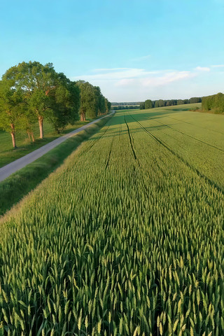 麦田乡村道路航拍素材 麦田乡村道路航拍素材