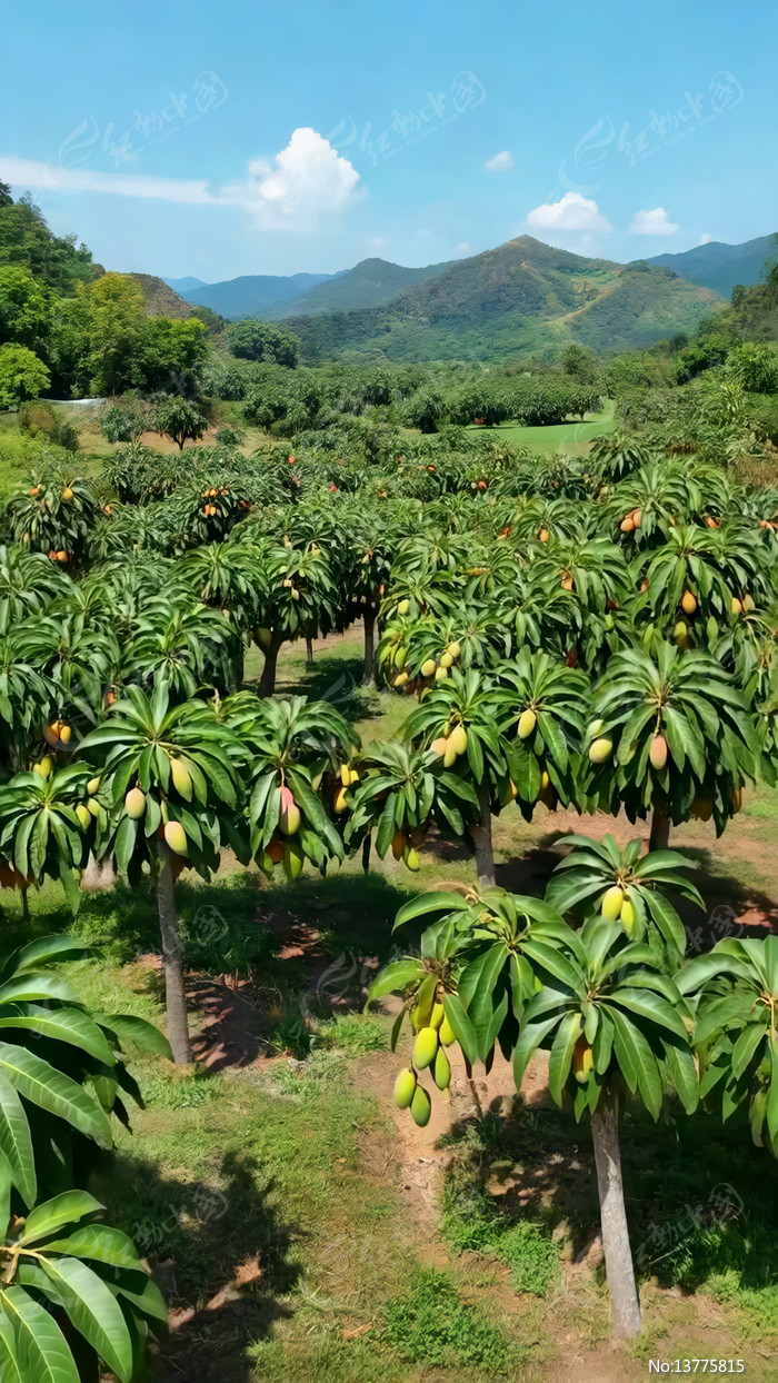 â����԰��԰���