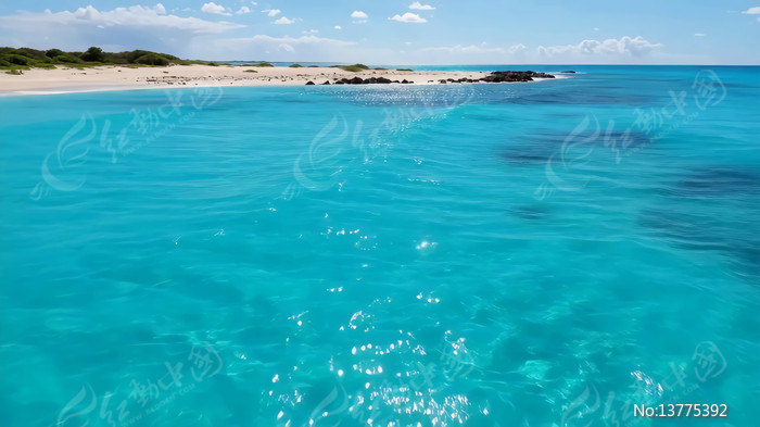 ������̲�峺�󺣷��