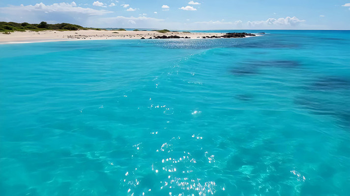 ������̲�峺�󺣷��