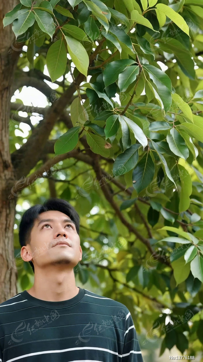 ����������ͷ����Ҷ