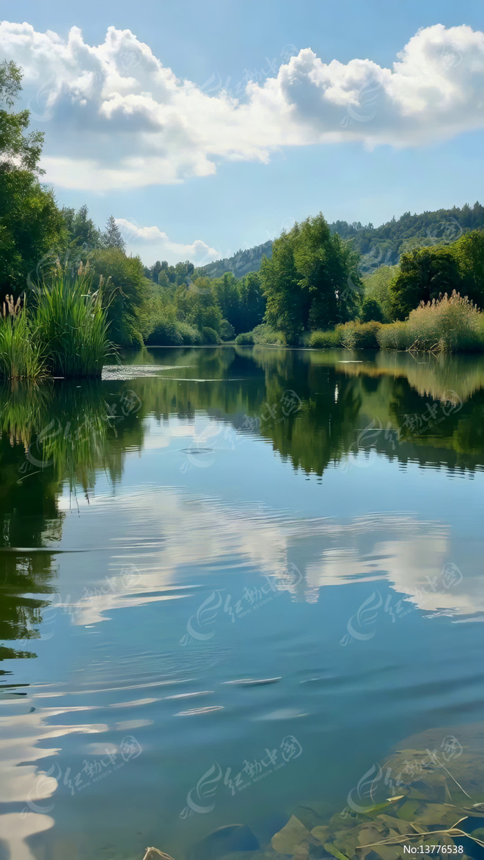 ����������Ȼ���