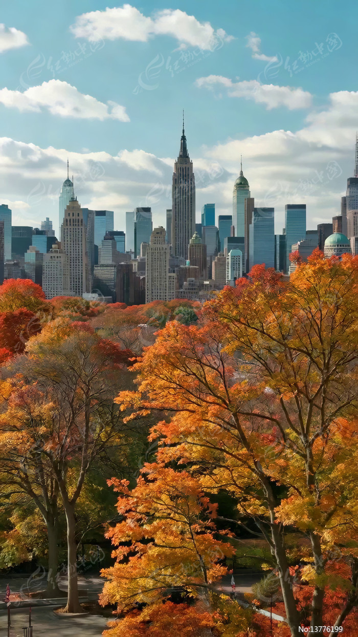 ŦԼ�＾��������߾���