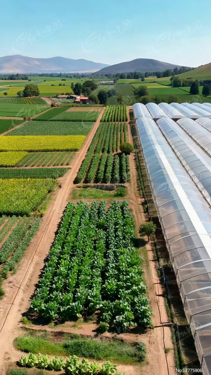 ũ�������Ҵ��︩��ȫ��