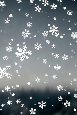 Ʈ��ѩ�������ز�