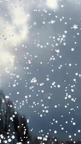 Ʈѩ�����ز�