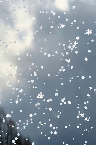 Ʈѩ�����ز�