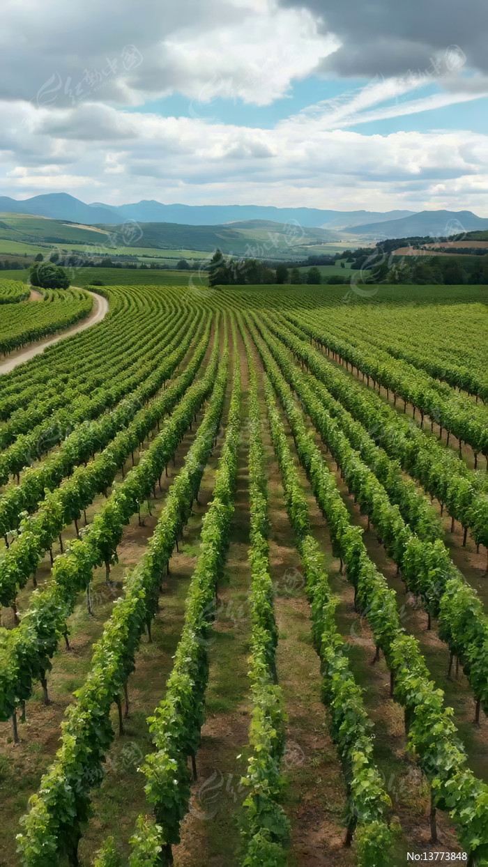 ����԰��԰���ȫ��