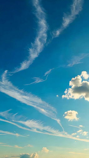 ������հ���Ʈ��