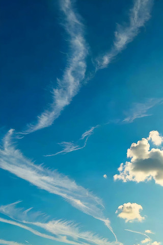 ������հ���Ʈ��