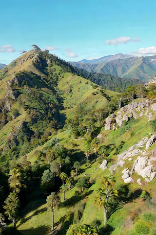 青山绿树自然风光俯瞰 青山绿树自然风光俯瞰