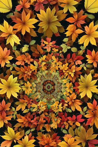 秋季多彩枫叶图案背景 秋季多彩枫叶图案背景