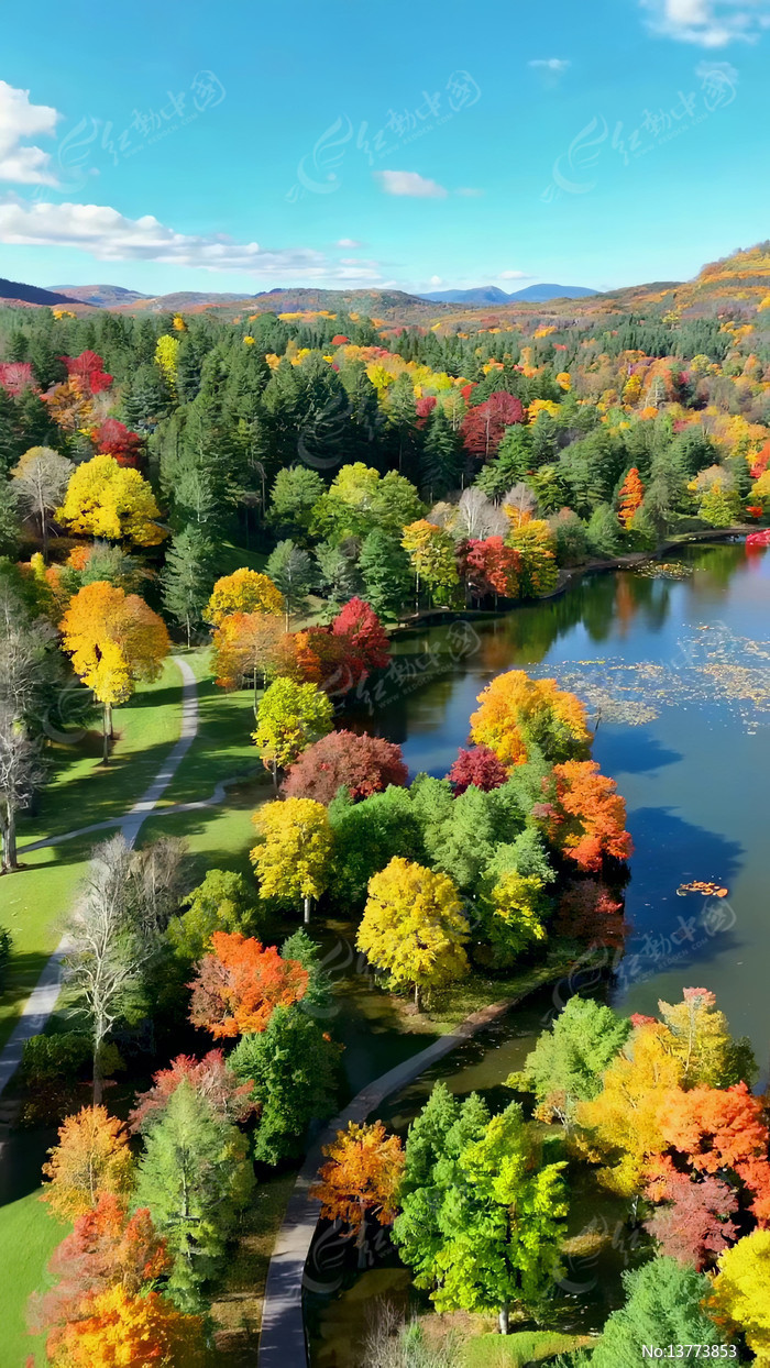 �＾ɭ�ֺ�������ȫ��