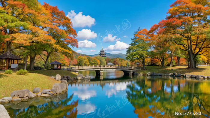 ���չ�԰�������Ҷ