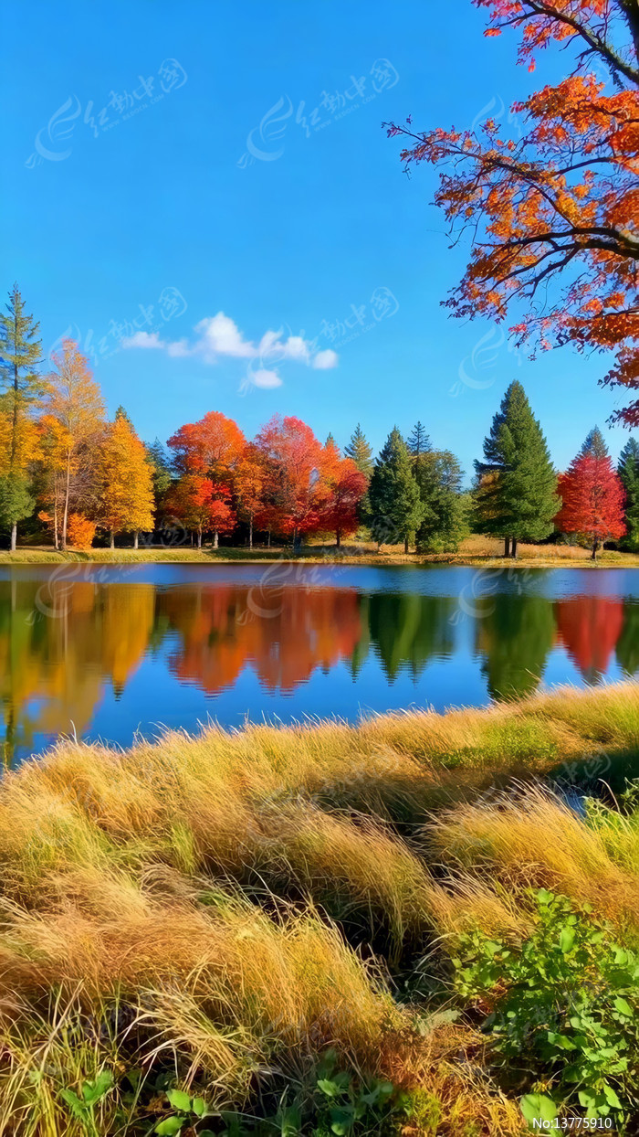 ���պ��߶�����ַ羰