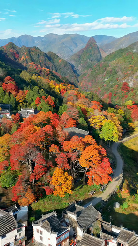 ����ɽ��ɽ��ȫ��
