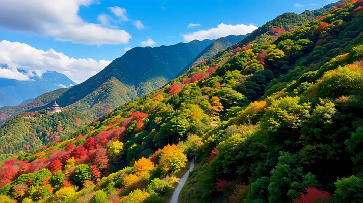 秋日山林多彩风光 秋日山林多彩风光