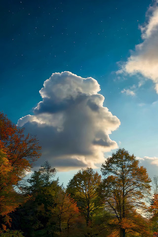 秋日树林上空的云朵与星空 秋日树林上空的云朵与星空