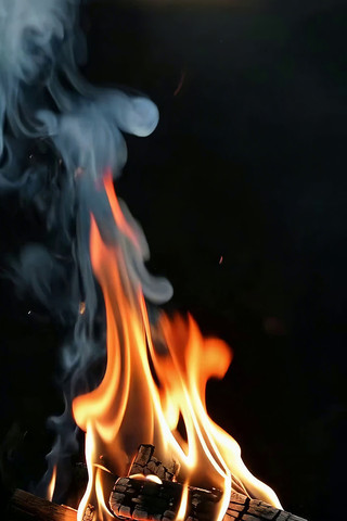 燃烧的篝火特写素材 燃烧的篝火特写素材