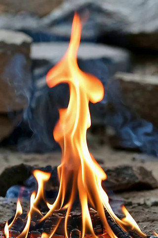 ȼ�յĻ�����д