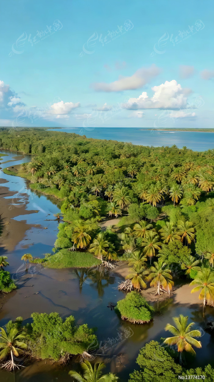 �ȴ�����Ҭ�ֺ������