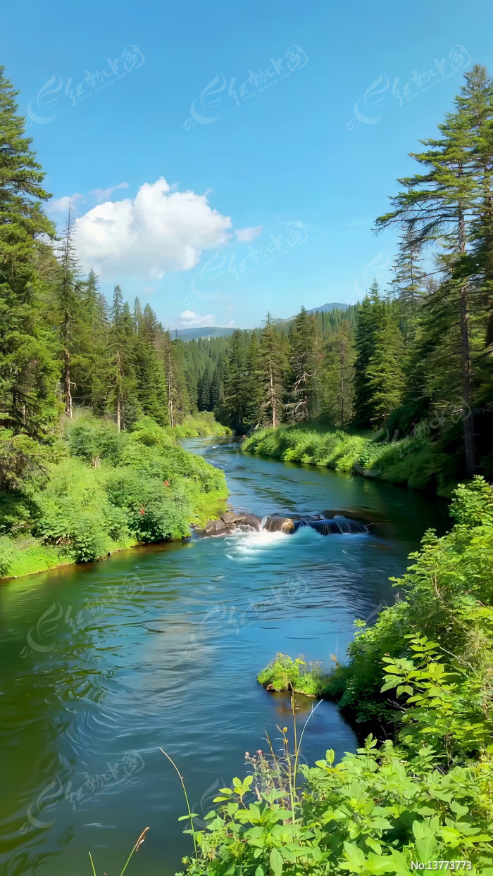 ɭ�ֺ�����Ȼ���