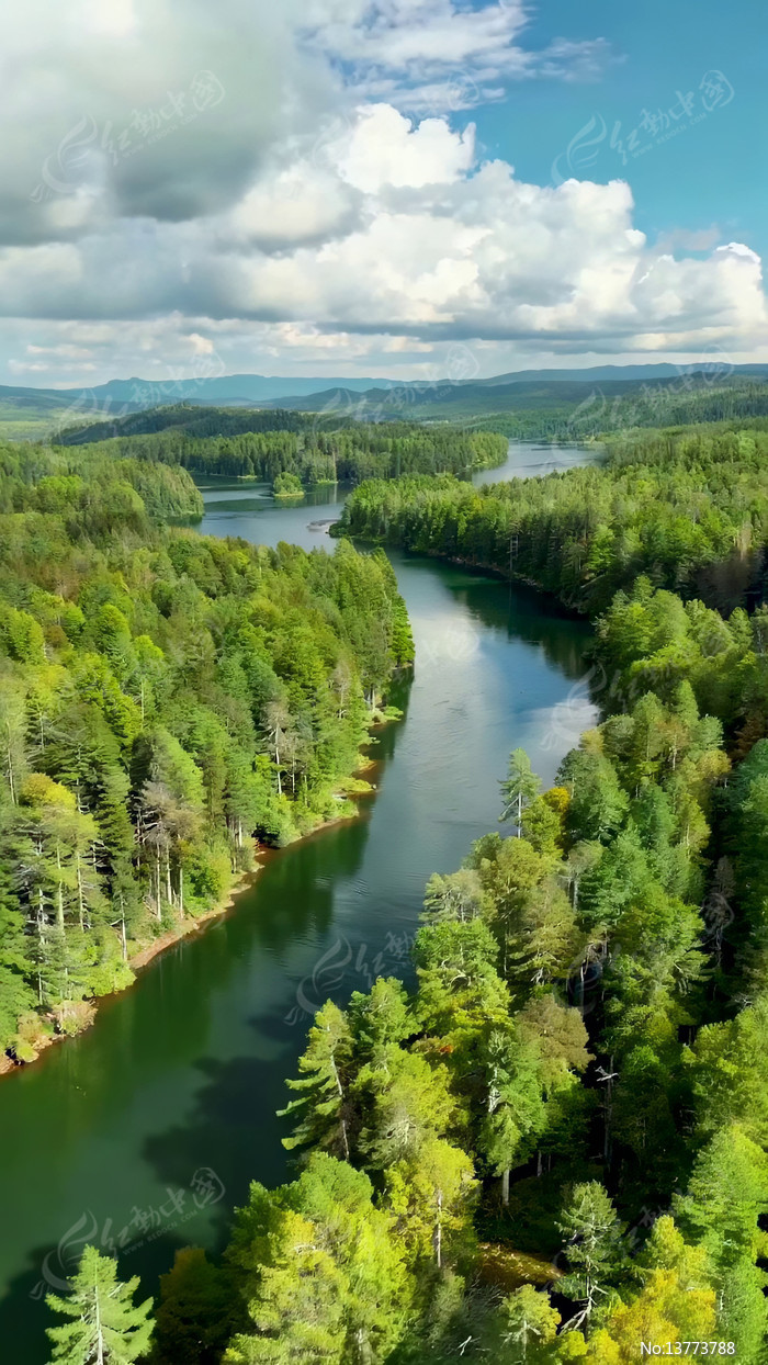 ɭ�ֺ�����Ȼ��⸩�