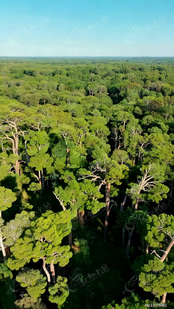 ɭ�����ȫ��