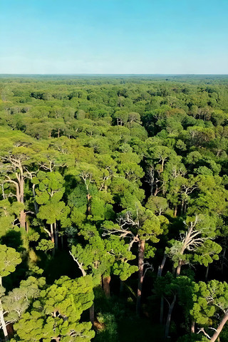 ɭ�����ȫ��