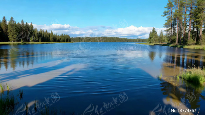 ɭ��������������Ȼ���