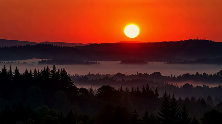 森林日出自然景观 森林日出自然景观