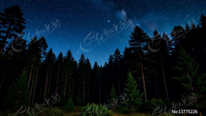 ɭ��ҹ�շ��Ǿ���