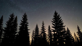 ɭ��ҹ�շ��Ǿ���