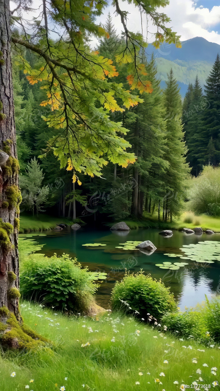 ɭ���еľ��׳�������