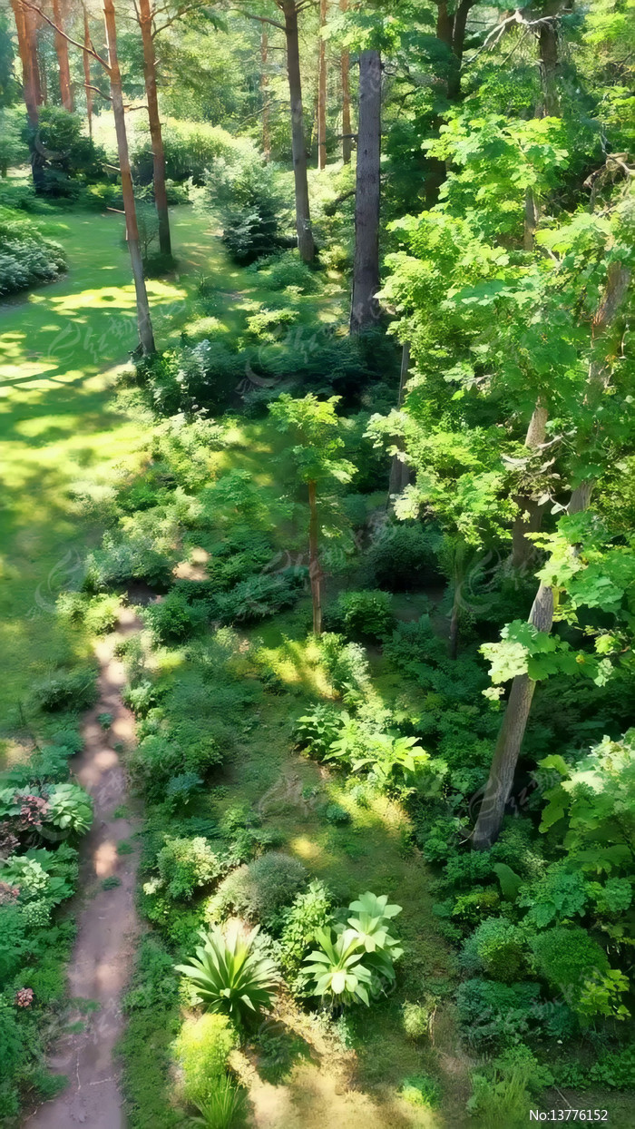 ɭ����Ȼ��⸩�