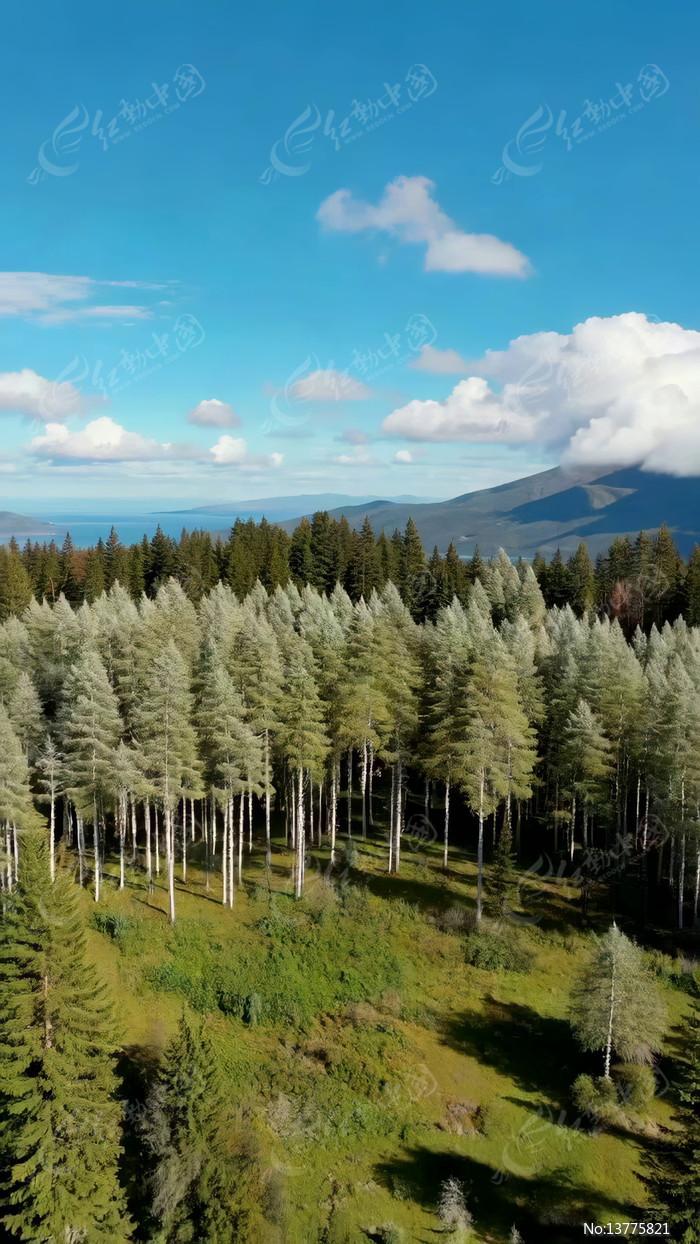 ɭ����Ȼ��⸩�ȫ��