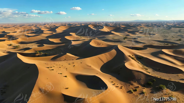 ɳĮɳ���ȫ��