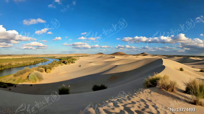 ɳĮɳ�������Ȼ���