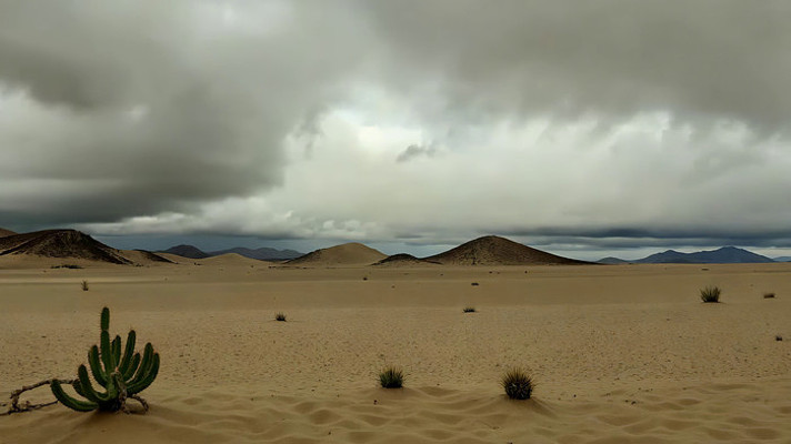 沙漠阴天景象 沙漠阴天景象