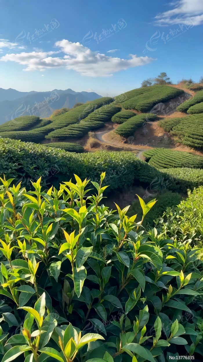 ɽ�ز�԰��Ȼ���ȫ��