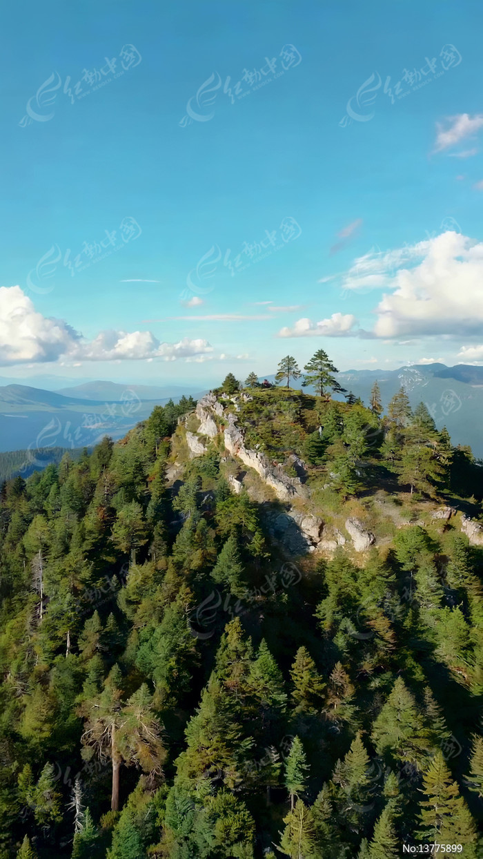 ɽ��ɭ����Ȼ������