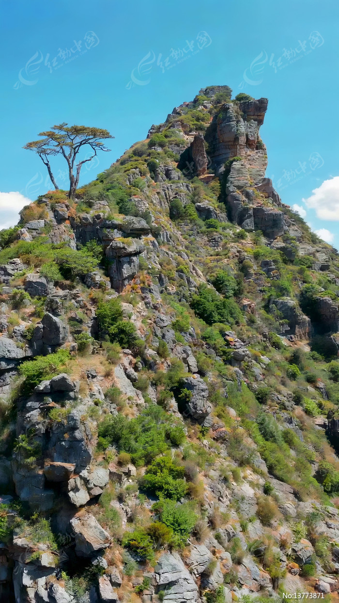 ɽ����ʯ��ľ��Ȼ����