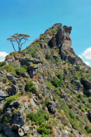 山峰岩石树木自然景观 山峰岩石树木自然景观