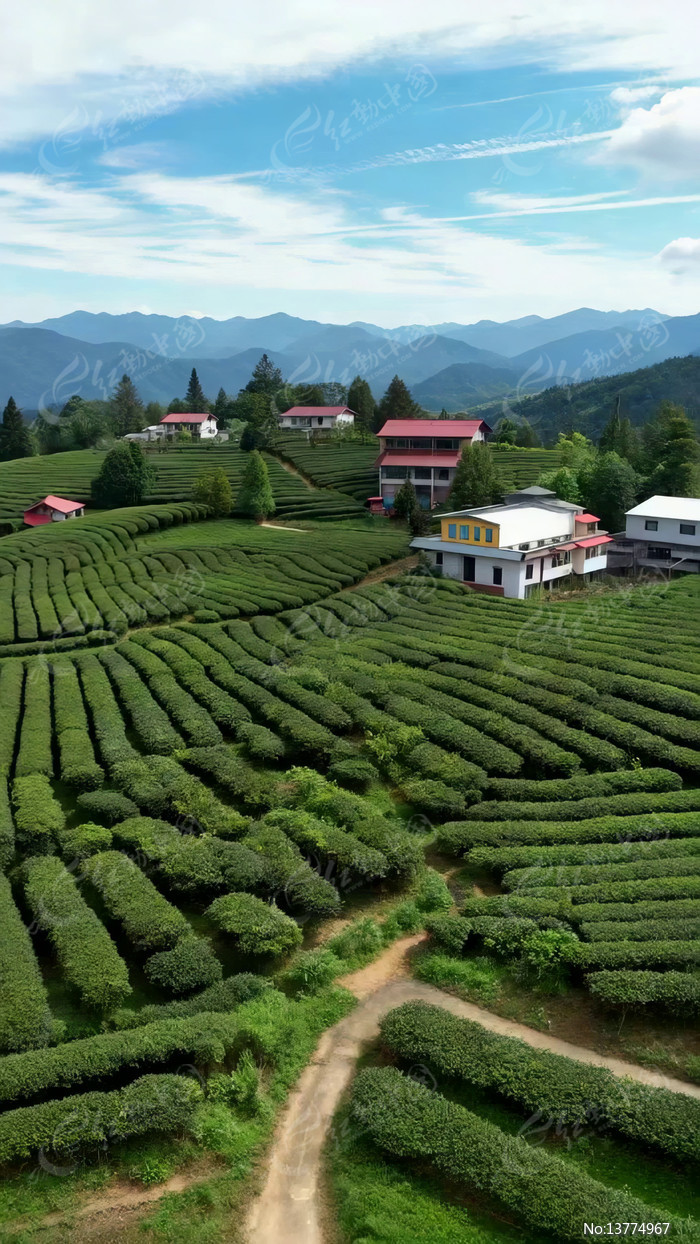 ɽ���԰����Ӹ����