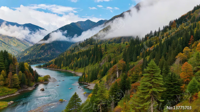 ɽ�����ɭ����Ȼ���