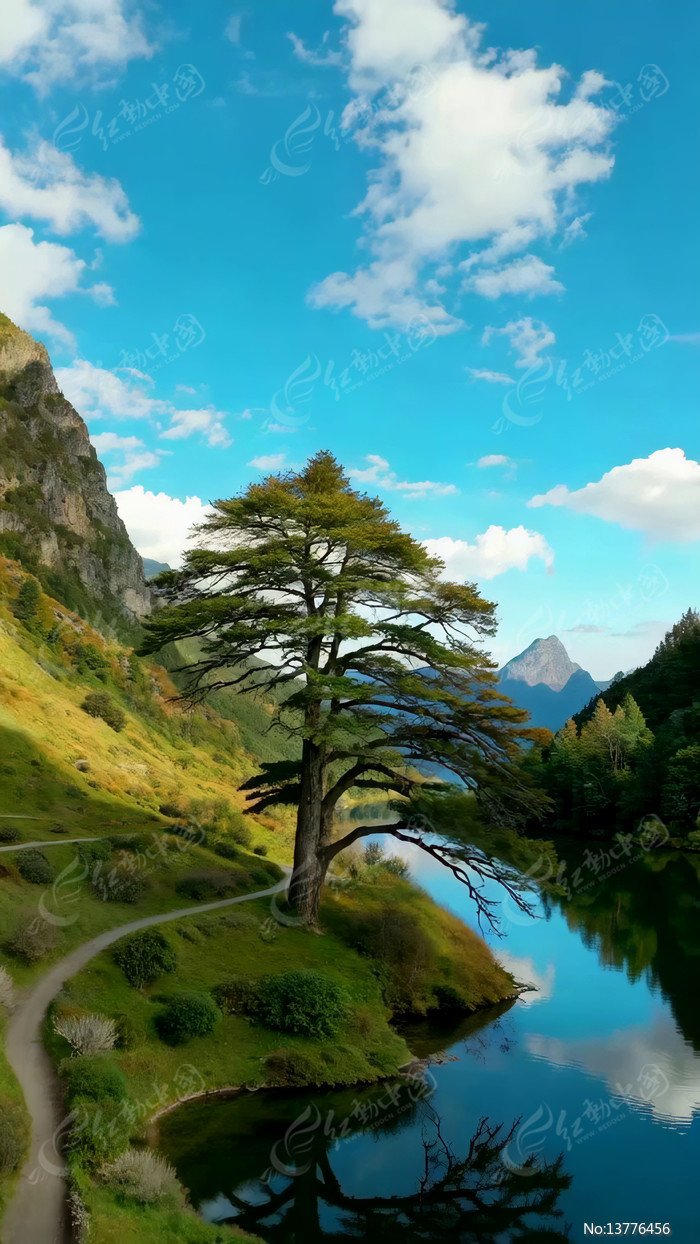 ɽ����Ϲ�����Ȼ���