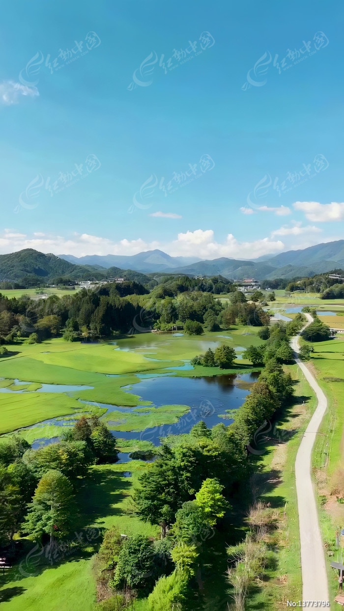 ɽ����Ұ��������ȫ��