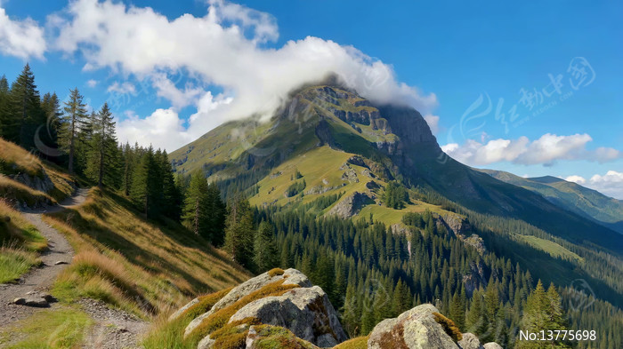 ɽ��ɭ�ַ羰ȫ��